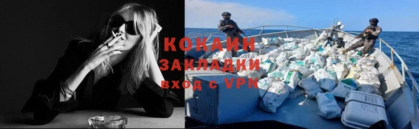 крисы Вяземский