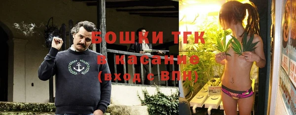 крисы Вяземский