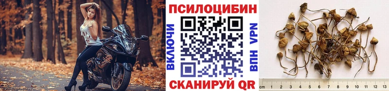 магазин продажи   Сыктывкар  Псилоцибиновые грибы прущие грибы 