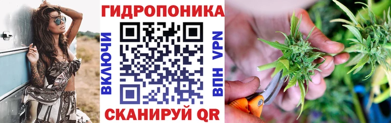 даркнет сайт  Сыктывкар  Бошки марихуана сатива 